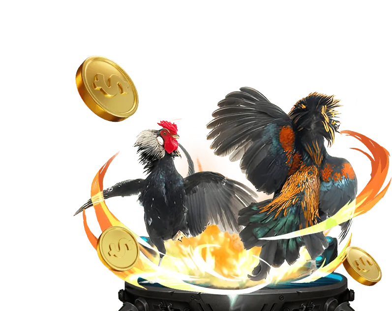 Nổ Hũ 555WIN